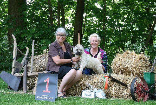 KFTshow OG Artland DE