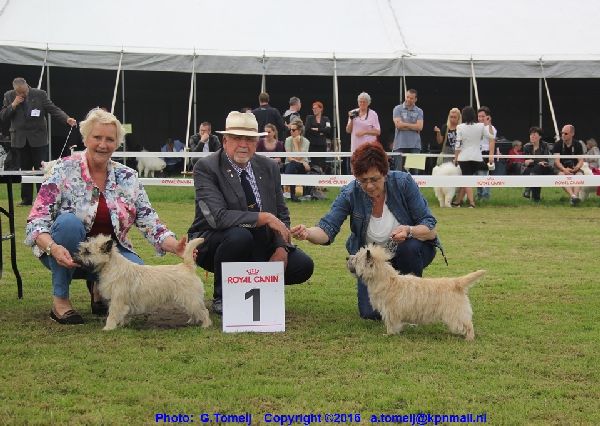 De Baronie 2016